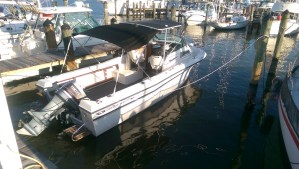 imag0195_17075596236_o