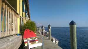 imag0070_16479286504_o