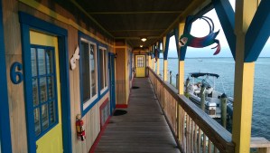 imag0074_17101711755_o